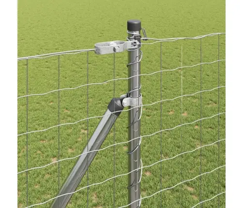 Aed Koos Postidega Hõbedane 1.5 X 10 M Teras