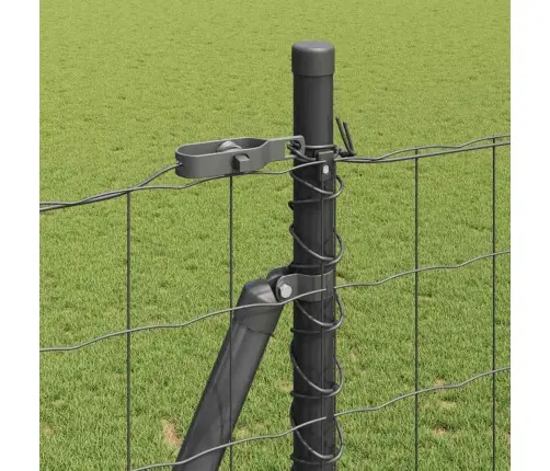 Eiro Žogs Ar 7 Flangētām Kolonnām 1.4X10 M Cinkots Tērauds Vidaxl