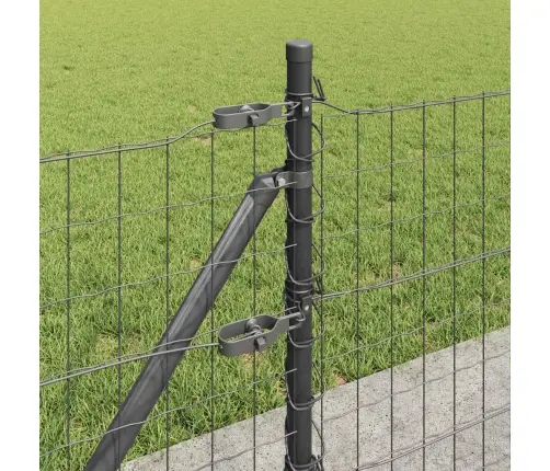 Aed Koos Postiga Hall 0,6 X 25 M Terased Ja Pvc