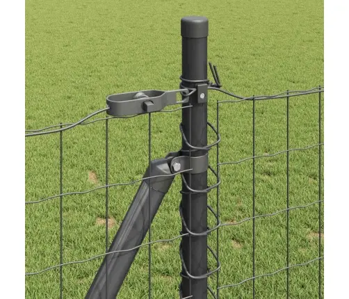 Eiro Žogs Ar 13 Flanged Stabiem 1X25 M Cinkots Tērauds Vidaxl