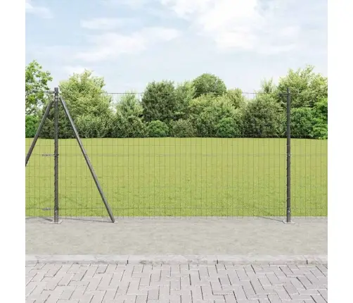 Euro Žogs Ar 13 Flangētām Pārliktnēm 1.2X25 M Cinkots Tērauds Vidaxl