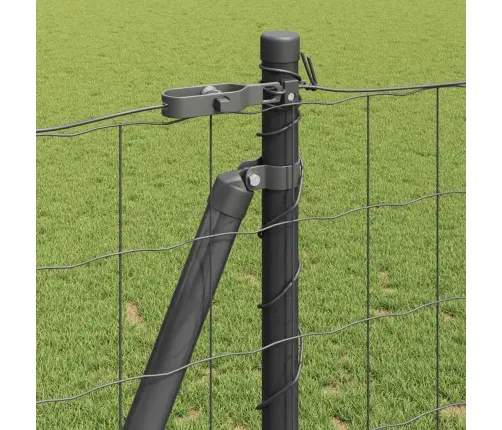 Eiro Žogs Ar 13 Flangētiem Stabiem 1.2X25 M Vidaxl