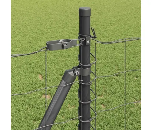 Eiro Žogs 2 Komplekts Pelēks Betona Pamats, Metāla Stabi 25 X 1 M Vidaxl