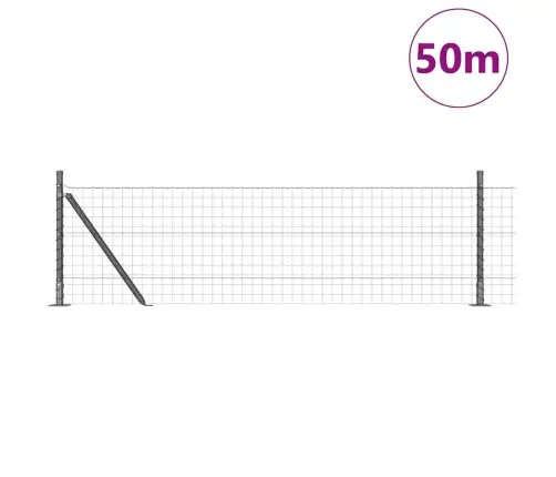 Eiropas Žogs Ar 13 Flangētām Stabiem 0.6X50 M Cinkota Tērauda Vidaxl