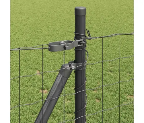 Tvora Su Stulpais Pilka 0,8 X 10 M Plienas