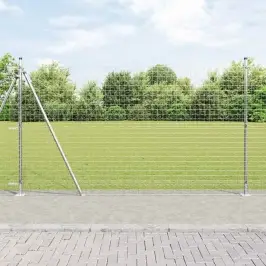 Žogs Ar Stabiem. Sudraba 1.4 X 10 M Tērauds Vidaxl