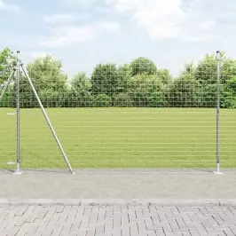 Žogs Ar Stabiem. Sudraba 1.5 X 10 M Tērauds Vidaxl