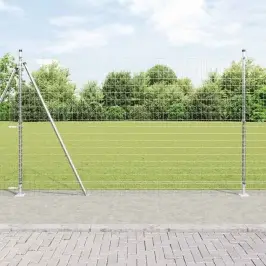 Žogs Ar Stabiem. Sudraba 1.4 X 10 M Tērauds Vidaxl