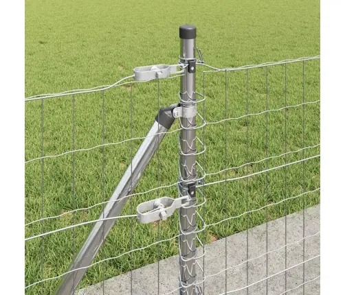 Aed Koos Postiga Hõbedane 0,6 X 50 M Teras