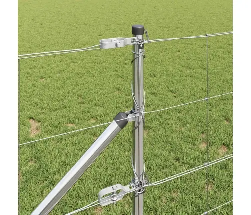 Lauka Žogs 0.8X50 M Cinkots Tērauds Vidaxl