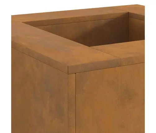 Laužavietė Ruda 60 X 60 X 30 Cm Plienas