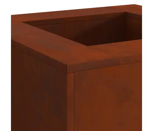 Uguns Bedre Kvadrātveida 60X60X30 Cm Laika Izturīgs Tērauds Vidaxl