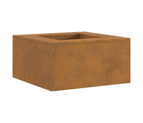 Laužavietė Ruda 60 X 60 X 30 Cm Plienas