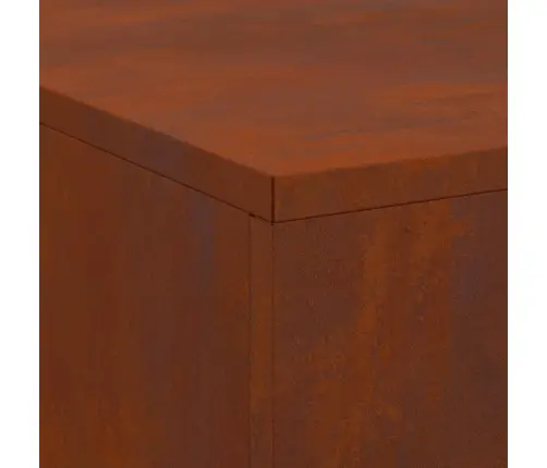 Ugunskurs Ar Malkas Uzglabāšanu 100X100X30 Cm Laikapstākļu Izturīgs Tērauds Vidaxl