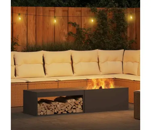 Uguns Bedre Ar Koku Uzglabāšanu Melna 160X45X35 Cm Tērauds Vidaxl