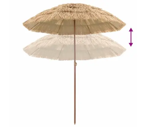 Paplūdimio Skėčius Natūrali 255 X 255 X 255 Cm