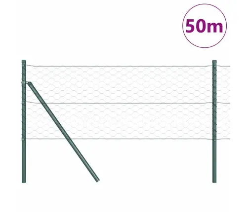 Sešstūra Žogs Zaļš 0.6X50 M Tērauds Vidaxl
