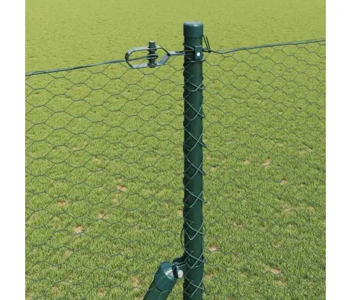 Sešstūra Žogs Zaļš 1.6X50 M Tērauds Vidaxl