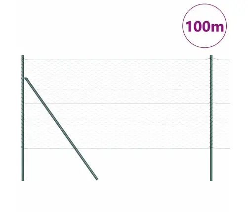 Aiapost Roheline 100 X 1 M (50 Mm Võrku) Terased Ja Pvc