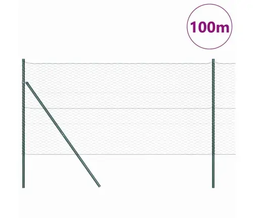 Heksagona Žogs Zaļš 1.2X100 M Tērauda Vidaxl