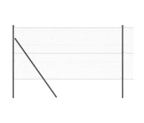 Aiapost Hall 10 X 1 M (50 Mm Võrgu) Terased Ja Pvc