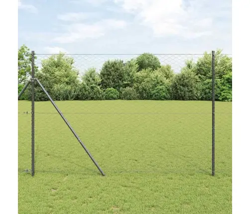 Heksagona Žogs Pelēks 1.6X10 M Tērauds Vidaxl