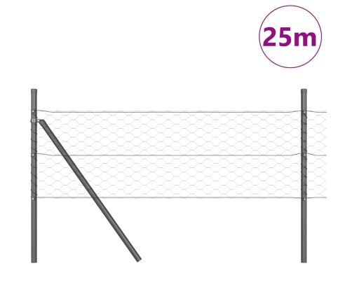Sešstūra Žogs Pelēks 0.8X25 M Tērauds Vidaxl