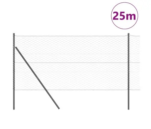 Sešstūra Žogs Pelēks 1.4X25 M Tērauds Vidaxl