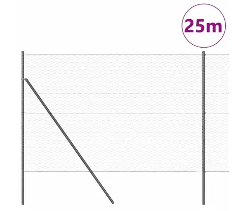 Žogu Komplekts 2 Gab. Pelēks Metāls 25 X 1.5 M Izturīgs Vidaxl