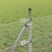 Aed Koos Postidega Hõbedane 0.8 X 50 M Pvc Kaetud Teras