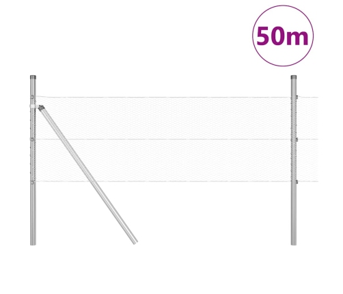 Aed Koos Postidega Hõbedane 0.8 X 50 M Pvc Kaetud Teras