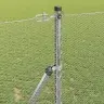 Sešstūra Žogs 1.4X50 M Cinkota Tērauda Vidaxl