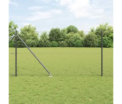 Aiapost Hall 25 X 1 M (25 Mm Võrk) Teras
