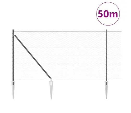 Sešstūra Žogs Pelēks 1X50 M Tērauds Vidaxl