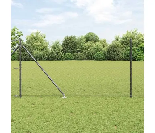 Hexagon Fence Pelēks 1X100 M Tērauds Vidaxl