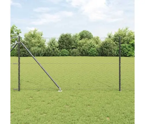 Sešstūra Žogs Pelēks 1.2X100 M Tērauds Vidaxl