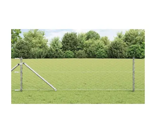 Aed Koos Postidega Hõbedane 0.6 X 10 M Pvc Kaetud Teras