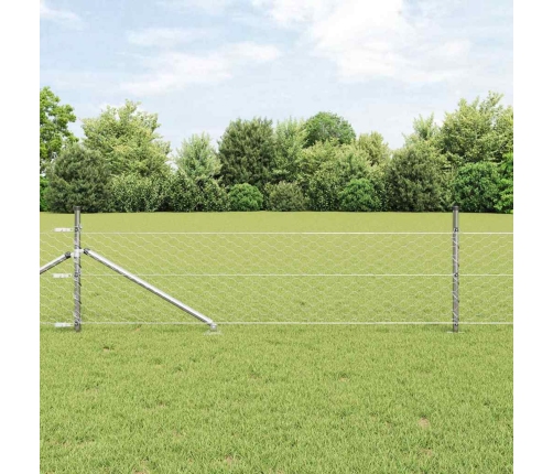 Žogu Komplekts 2 Gab. Cinkota Metāla Cinkots Tērauds 25 X 0.5 M Vidaxl