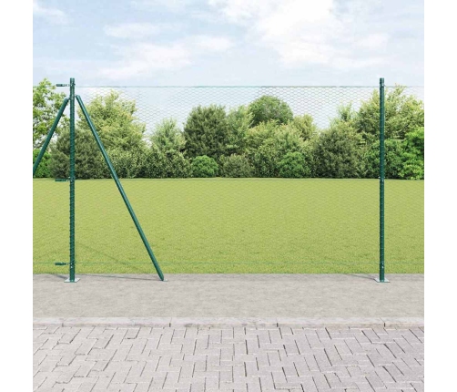 Heksagonālais Žogs Zaļš 1.6X10 M Tērauds Vidaxl