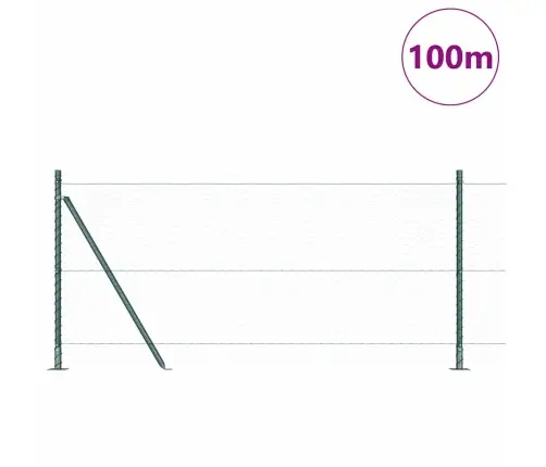 Sešstūra Žogs Zaļš 0.8X100 M Tērauds Vidaxl