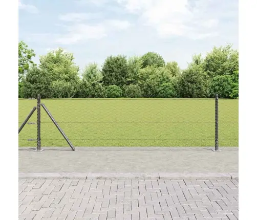 Heksagona Žogs Pelēks 0.6X25 M Tērauds Vidaxl