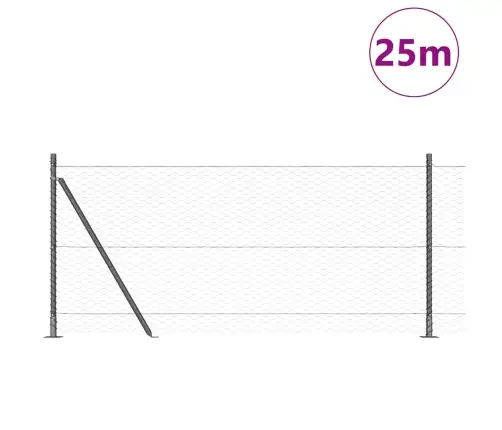 Aed Koos Postidega Hall 0.8 X 25 M Pvc Kaetud Teras