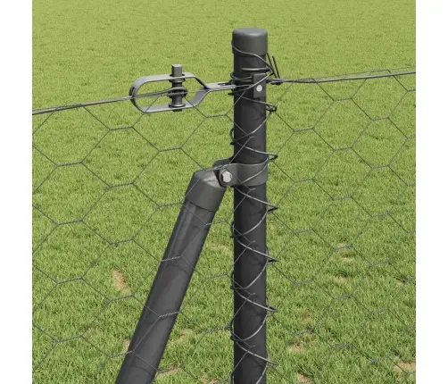 Sešstūra Žogs Pelēks 1.2X50 M Tērauds Vidaxl