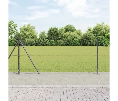 Sešstūra Žogs Pelēks 1X100 M Tērauds Vidaxl