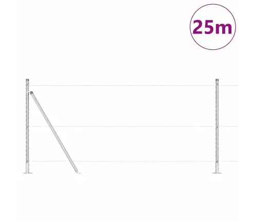 Heksagona Žogs 0.8X25 M Cinkots Tērauds Vidaxl