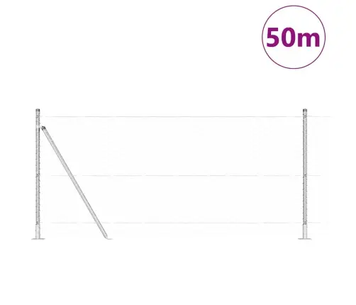 Aed Koos Postidega Hõbedane 1 X 50 M Pvc Kaetud Teras