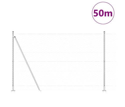 Heksagona Žogs 1.6 X 50 M Galvanizēts Tērauds Vidaxl