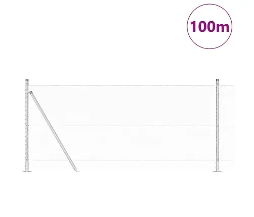 Heksagona Žogs 1X100 M Cinkots Tērauds Vidaxl