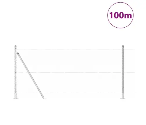 Sešstūra Žogs 1X100 M Cinkots Tērauds Vidaxl