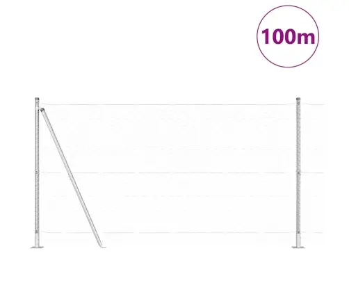 Hexagona Žogs 1.2X100 M Cinkots Tērauds Vidaxl